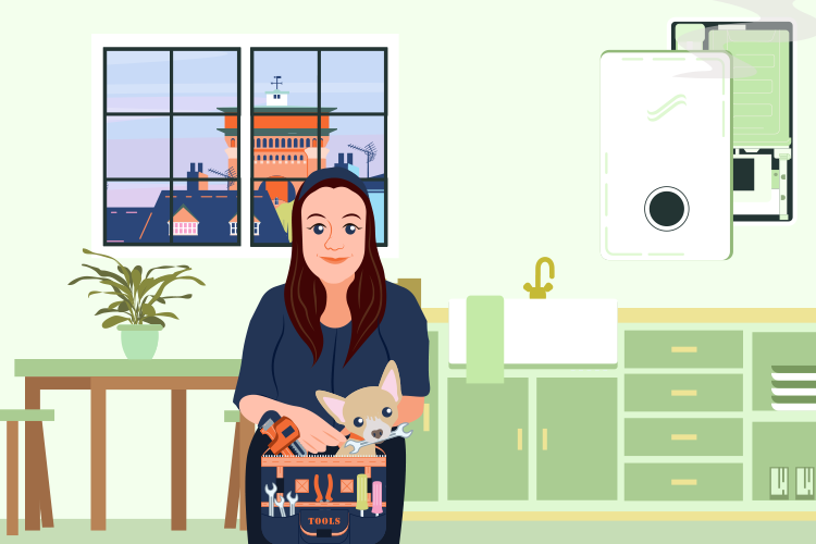 Common boiler fault codes Koziwarm